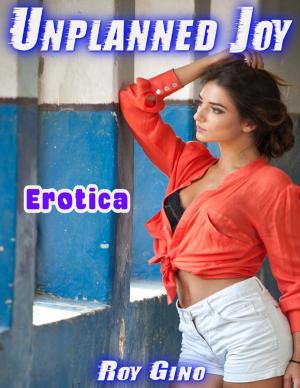 Cover of the book Erotica: Unplanned Joy by Sarah Burke