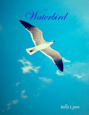 Cover of the book Waterbird by DeEtta Jennings-Balthazar