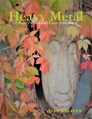 Cover of the book Heavy Metal by Erick Ball
