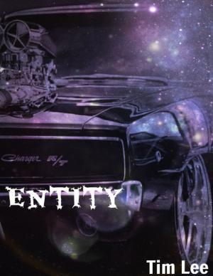 Cover of the book Entity by Luis Ramon