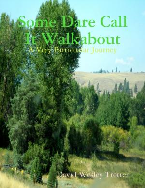Book cover of Some Dare Call It Walkabout: A Very Particualar Journey