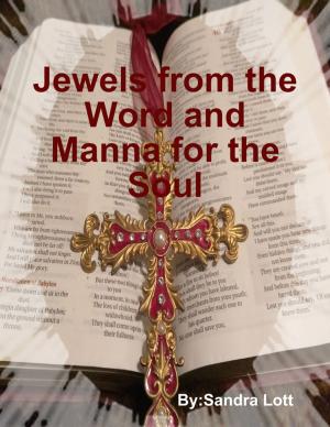 Cover of the book Jewels from the Word and Manna for the Soul by Jonathan Edward Feinstein