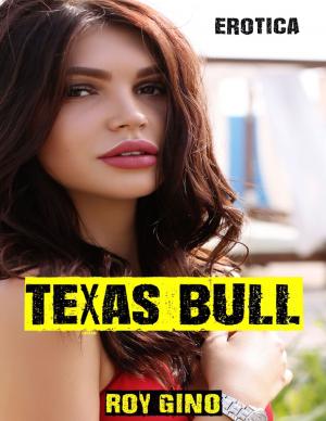 Cover of the book Erotica: Texas Bull by Dr Zulk Shamsuddin