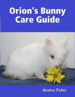 Book cover of Orion's Bunny Care Guide