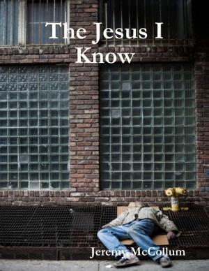 Cover of the book The Jesus I Know by Enrico Massetti