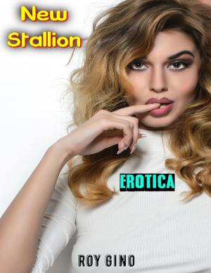 Cover of the book Erotica: New Stallion by Denise Marie Mari, Ph.D., Lynn Marie Knapke, Aaron Shaun Brennan