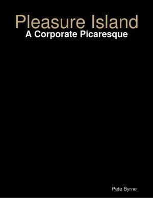 Cover of the book Pleasure Island - A Corporate Picaresque by Abdelkarim Rahmane