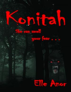 Cover of the book Konitah by Chris Povall