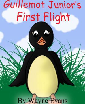 Cover of the book Guillemot Junior’s First Flight: A children's story with morals. by Wayne Evans