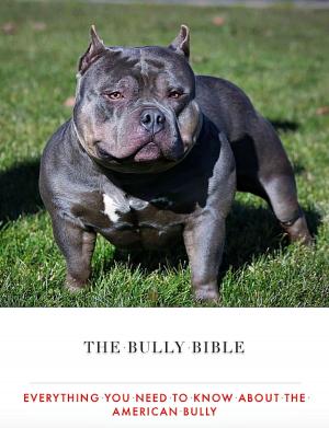 Cover of the book The Bully Bible: Everything You Need To Know About The American Bully by Sarah Anderson