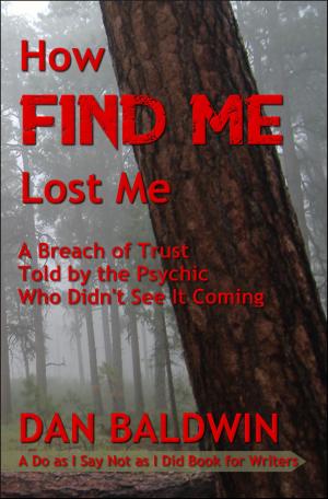 Book cover of How FIND ME Lost Me