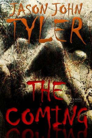 Cover of the book The Coming by N.K. Aning