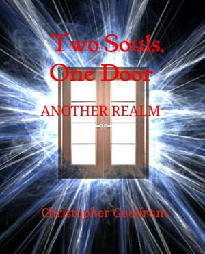 bigCover of the book Two Souls, One Door: Another Realm by 