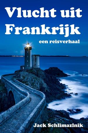 bigCover of the book Vlucht uit Frankrijk by 