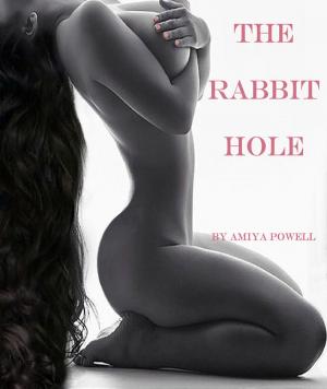 Cover of the book The Rabbit Hole by scott colbert