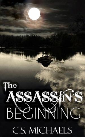 Cover of the book The Assassin's Beginning by Shane Jiraiya Cummings