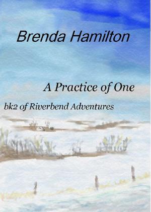 Cover of the book A Practice of One by Thomas P. Tiernan