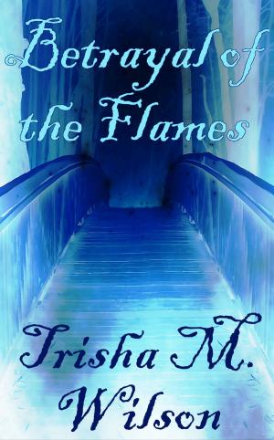 Cover of the book Betrayal of the Flames by Trisha M. Wilson