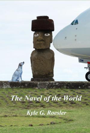 bigCover of the book The Navel of the World by 