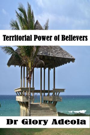 bigCover of the book Territorial Power of Believers by 
