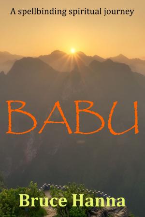 Book cover of Babu