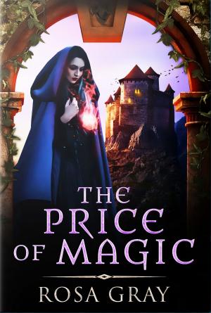 Cover of the book The Price of Magic by Rosa Suen