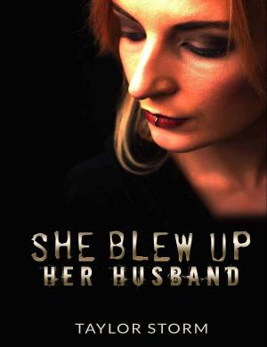 Cover of the book She Blew Up Her Husband by Taylor Storm