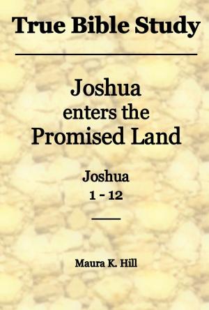 Book cover of True Bible Study: Joshua Enters the Promised Land Joshua 1-12