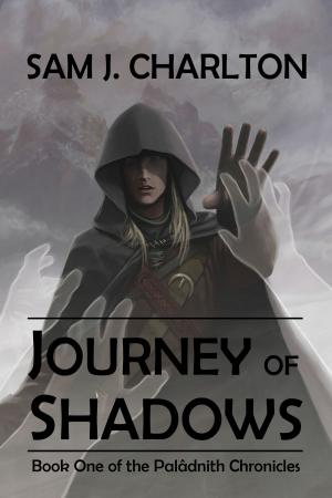 Cover of the book Journey of Shadows (The Palâdnith Chronicles Book 1) by Massimo Rufo