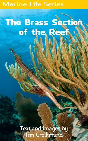 Cover of the book The Brass Section of the Reef by Isaac Daly, Levi Brown