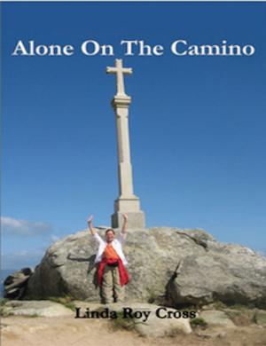 Cover of the book Alone on the Camino by Robert Macleod