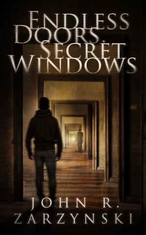 bigCover of the book Endless Doors, Secret Windows by 