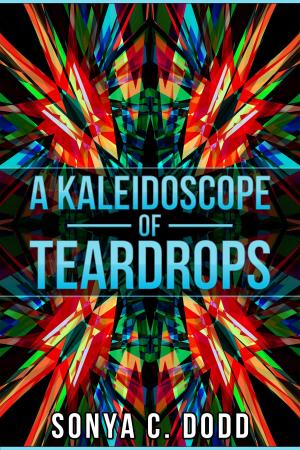 bigCover of the book A Kaleidoscope of Teardrops by 
