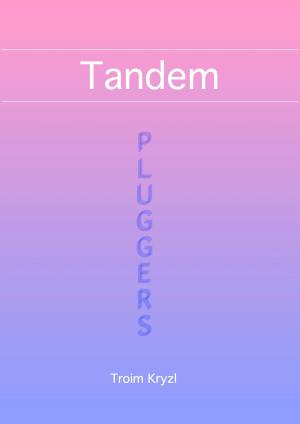 Cover of the book Tandem by Nomar Knight