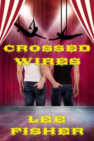Book cover of Crossed Wires