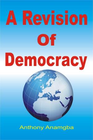 Cover of the book A Revision of Democracy by Jason Criss Howk