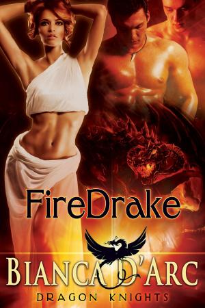 Cover of the book FireDrake by Ava Vixion