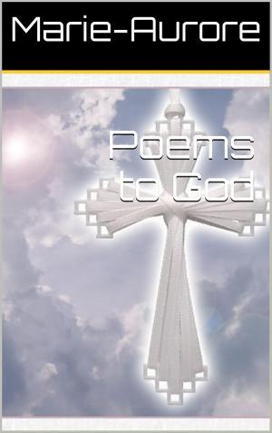 Cover of the book Poems To God by Pertti Aholanka