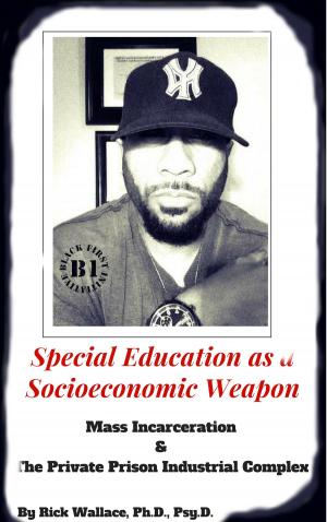 Book cover of Special Education As a Socioeconomic Weapon