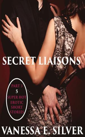 Cover of the book Secret Liaisons Part 3: 5 Super Hot Erotic Short Stories by Vanessa  E. Silver
