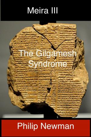 Cover of Book III Meira and the Gilgamesh Syndrome