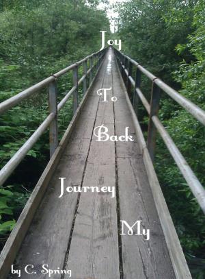 Cover of the book My Journey Back To Joy by Len Silver