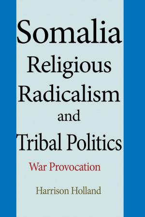 Cover of the book Somalia Religious Radicalism and Tribal Politics by Minna Rose