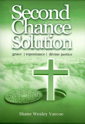 Cover of the book Second Chance Solution by V. K. Bronz