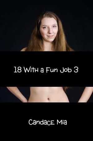 Cover of the book 18 With a Fun Job 3 by J.D. Laurence