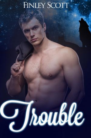 Cover of the book Trouble by Sara Harvey