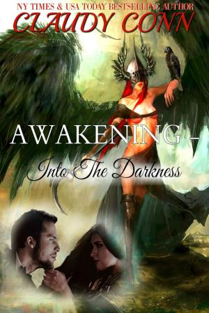 Cover of the book Awakening-Into the Darkness by Claudy Conn
