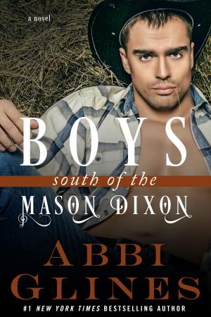 Cover of the book Boys South of the Mason Dixon by Jenni Bradley