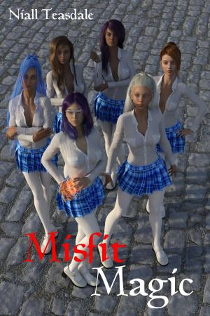 Book cover of Misfit Magic