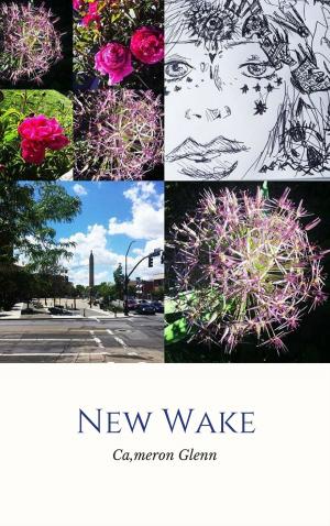 Book cover of New Wake